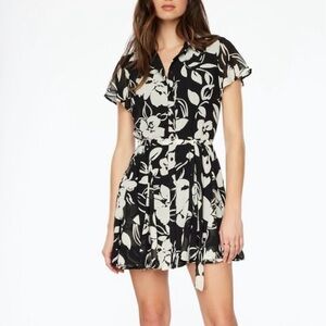 Dynamite Leina Dress